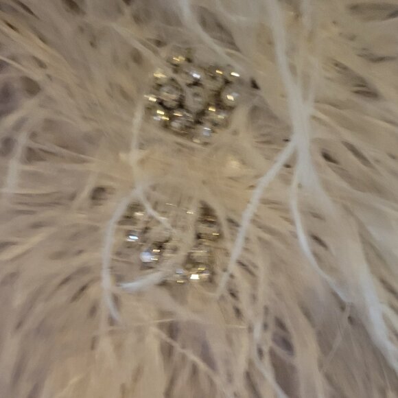 Lan ting Prom or Bride Dress (New) - Picture 3 of 11